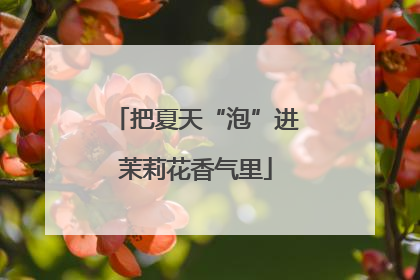 把夏天“泡”进茉莉花香气里