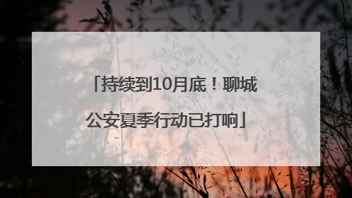 持续到10月底！聊城公安夏季行动已打响
