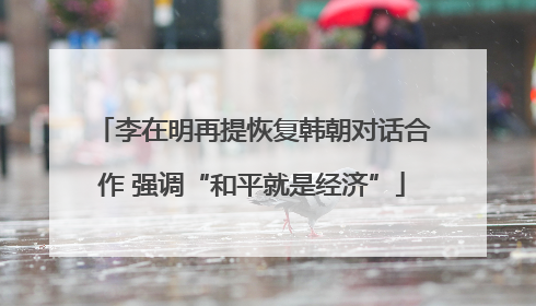 李在明再提恢复韩朝对话合作 强调“和平就是经济”