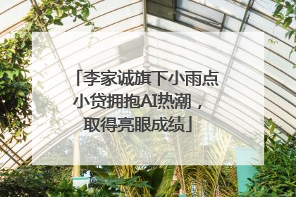 李家诚旗下小雨点小贷拥抱AI热潮，取得亮眼成绩
