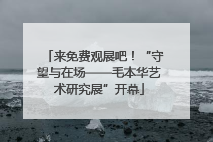 来免费观展吧！“守望与在场——毛本华艺术研究展”开幕