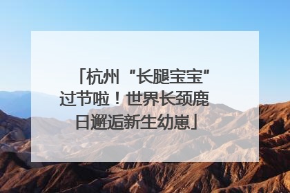 杭州“长腿宝宝”过节啦！世界长颈鹿日邂逅新生幼崽