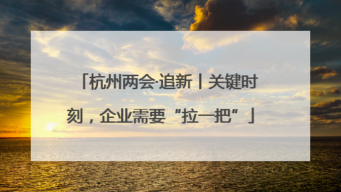 杭州两会·追新丨关键时刻，企业需要“拉一把”