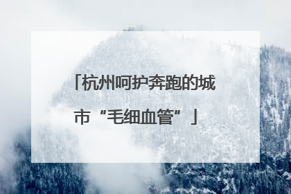 杭州呵护奔跑的城市“毛细血管”