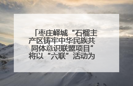 枣庄峄城“石榴主产区铸牢中华民族共同体意识联盟项目”将以“六联”活动为抓手深化品牌建设
