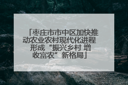 枣庄市市中区加快推动农业农村现代化进程 形成“振兴乡村 增收富农”新格局