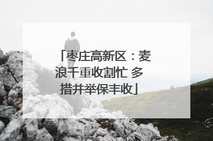 枣庄高新区：麦浪千重收割忙 多措并举保丰收