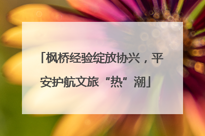 枫桥经验绽放协兴，平安护航文旅“热”潮