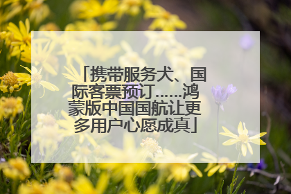 携带服务犬、国际客票预订……鸿蒙版中国国航让更多用户心愿成真