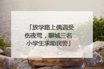 放学路上偶遇受伤夜鹭，聊城三名小学生求助民警