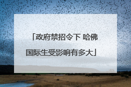 政府禁招令下 哈佛国际生受影响有多大