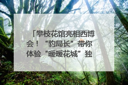 攀枝花馆亮相西博会！“豹局长”带你体验“暖暖花城”独特魅力｜西博视界