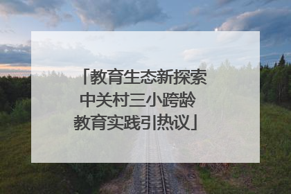 教育生态新探索 中关村三小跨龄教育实践引热议