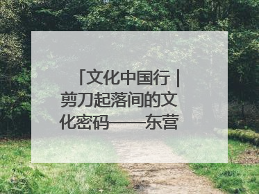 文化中国行｜剪刀起落间的文化密码——东营剪纸“剪”出非遗传承与现代生活的融合之道