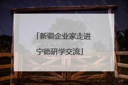 新疆企业家走进宁德研学交流