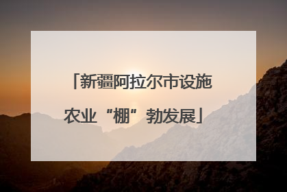新疆阿拉尔市设施农业“棚”勃发展