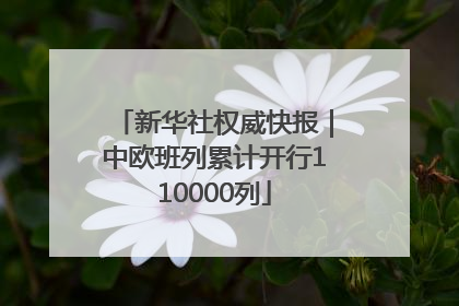 新华社权威快报｜中欧班列累计开行110000列