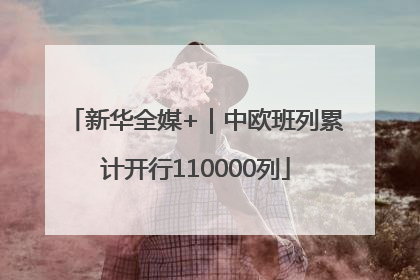 新华全媒+｜中欧班列累计开行110000列