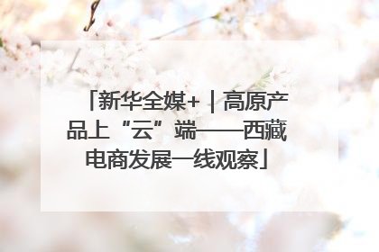 新华全媒+｜高原产品上“云”端——西藏电商发展一线观察