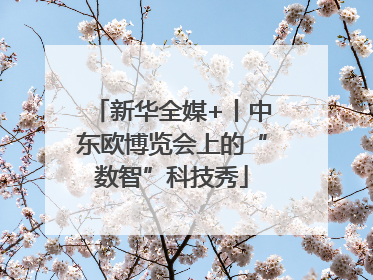 新华全媒+丨中东欧博览会上的“数智”科技秀