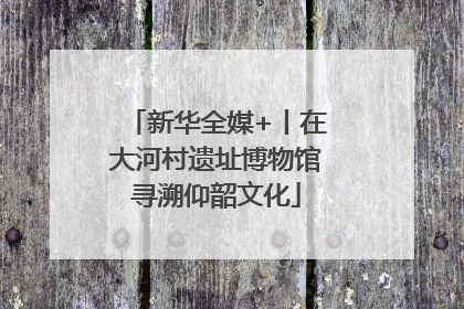 新华全媒+丨在大河村遗址博物馆寻溯仰韶文化