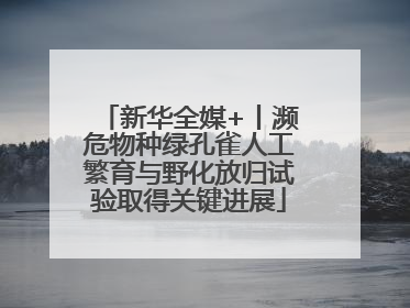 新华全媒+丨濒危物种绿孔雀人工繁育与野化放归试验取得关键进展