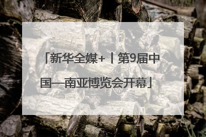 新华全媒+丨第9届中国—南亚博览会开幕