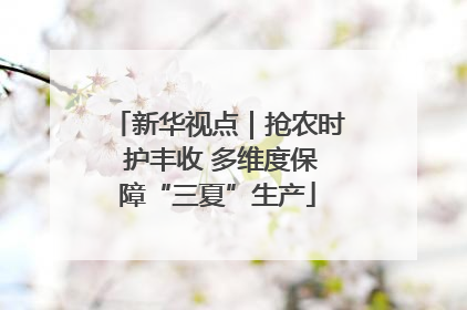 新华视点｜抢农时 护丰收 多维度保障“三夏”生产