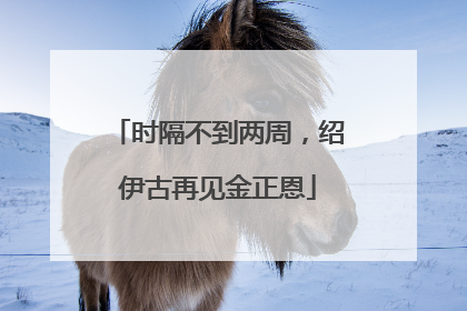 时隔不到两周，绍伊古再见金正恩