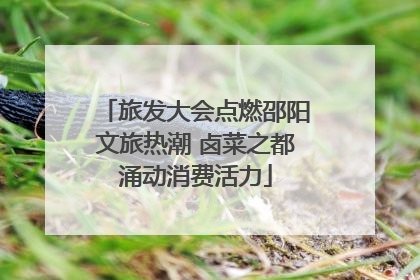旅发大会点燃邵阳文旅热潮 卤菜之都涌动消费活力