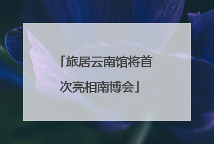 旅居云南馆将首次亮相南博会