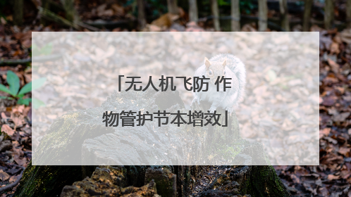 无人机飞防 作物管护节本增效