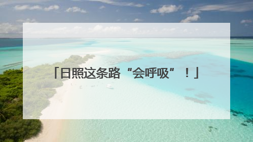 日照这条路“会呼吸”！