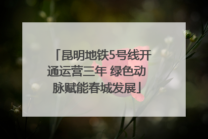 昆明地铁5号线开通运营三年 绿色动脉赋能春城发展