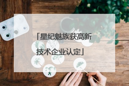 星纪魅族获高新技术企业认定