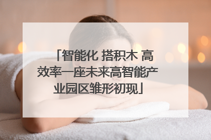 智能化 搭积木 高效率一座未来高智能产业园区雏形初现