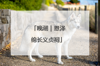 晚潮｜恩泽绵长义贞祠