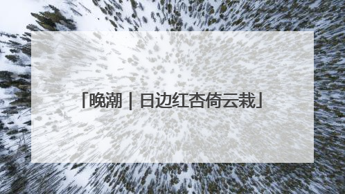 晚潮｜日边红杏倚云栽