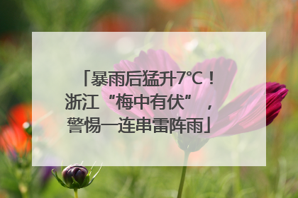 暴雨后猛升7℃！浙江“梅中有伏”，警惕一连串雷阵雨