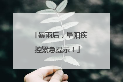 暴雨后，阜阳疾控紧急提示！