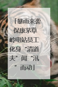 暴雨来袭 保康茅草岭电站员工化身“清道夫”闻“汛”而动