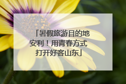 暑假旅游目的地安利！用青春方式打开好客山东