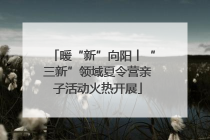 暖“新”向阳丨“三新”领域夏令营亲子活动火热开展