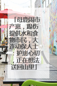母鹿闹市产崽，踢伤提供水和食物市民，大连动保人士：护崽心切，正在想法送回山里
