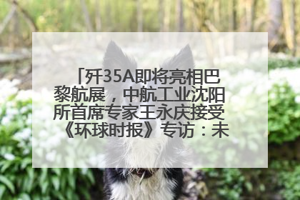 歼35A即将亮相巴黎航展，中航工业沈阳所首席专家王永庆接受《环球时报》专访：未来数量可以有很多