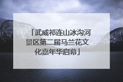 武威祁连山冰沟河景区第二届马兰花文化嘉年华启幕