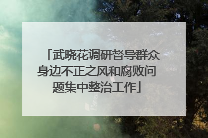 武晓花调研督导群众身边不正之风和腐败问题集中整治工作