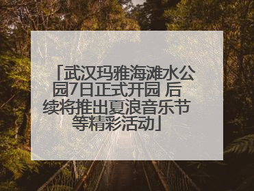 武汉玛雅海滩水公园7日正式开园 后续将推出夏浪音乐节等精彩活动