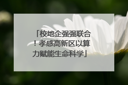 校地企强强联合！孝感高新区以算力赋能生命科学