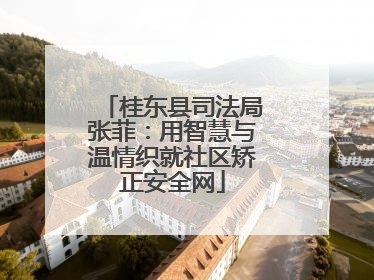 桂东县司法局张菲：用智慧与温情织就社区矫正安全网